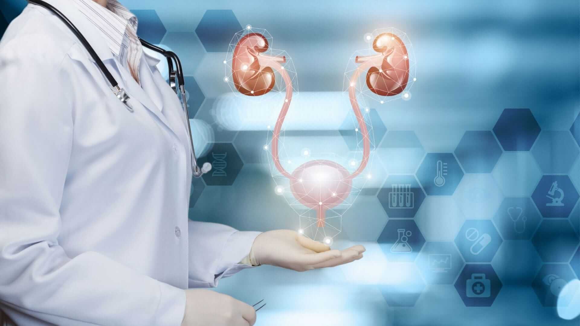 Doctor presenting a holographic image of the urinary system, illustrating the stages of bladder cancer diagnosis and their impact on treatment costs.