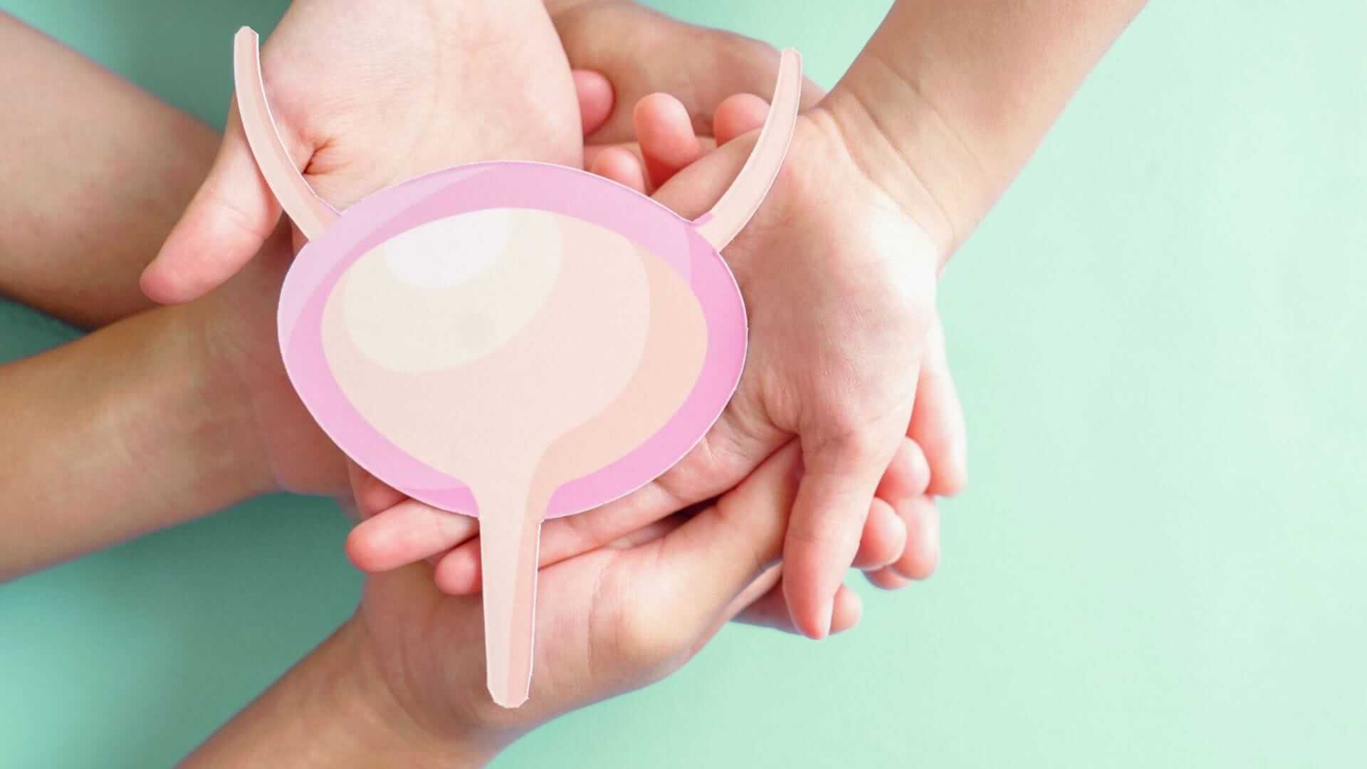 Hands cradling a paper cut-out of a bladder, representing guidance on tips for managing bladder cancer treatment costs effectively.